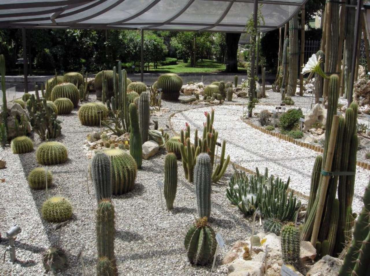 🌳 카타니아 대학 식물원 (오르토 보타니코 델루니베르시타 디 카타니아)